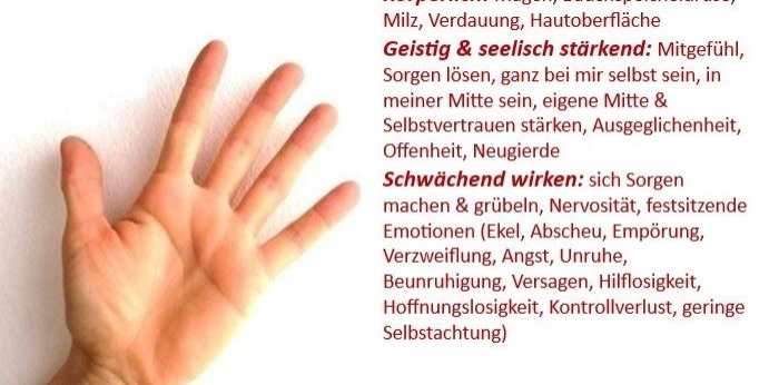 MiniMeditationen1: STÄRKUNG von Magen, Bauchspeicheldrüse & Milz