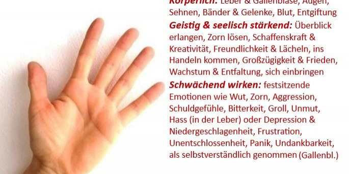 MiniMeditationen1: STÄRKUNG von Leber & Galenblase